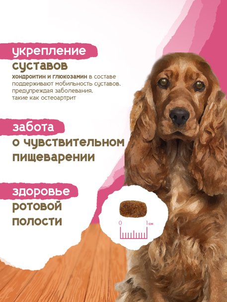 Сухой корм Formula Natural Life (для взр. собак мини пород), 80 г