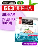 Сухой корм Formula Natural Fresh Meat (для щенков средних пород) с курицей, маниокой и куркумой, 80 г
