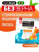 Сухой корм Formula Natural Fresh Meat (для стерилизованных кошек) с лососем, тыквой и куркумой, 80 г