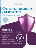 Сухой корм Formula Natural Vet Care Osteoarthritis (для собак при остеоартрите), 80 г