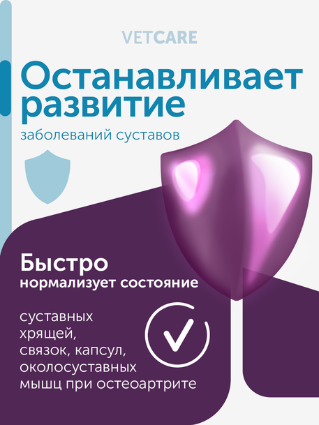 Сухой корм Formula Natural Vet Care Osteoarthritis (для собак при остеоартрите), 80 г
