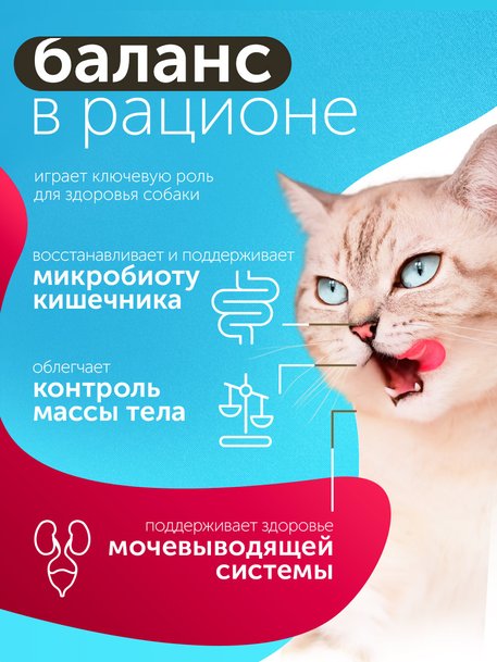 Сухой корм Formula Natural Fresh Meat (для стерилизованных кошек) с мясом, сладким картофелем и куркумой, 80 г