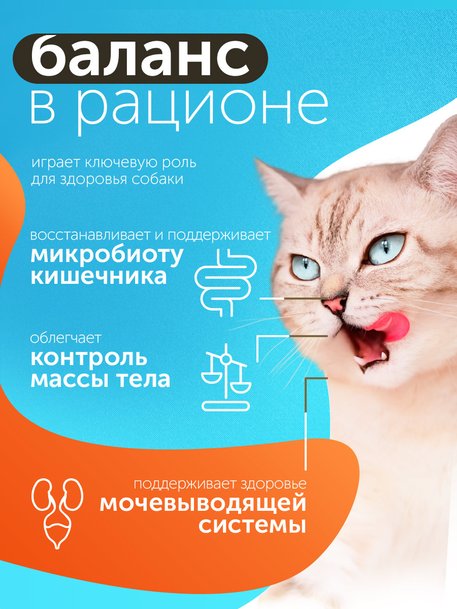 Сухой корм Formula Natural Fresh Meat (для стерилизованных кошек) с лососем, тыквой и куркумой, 80 г