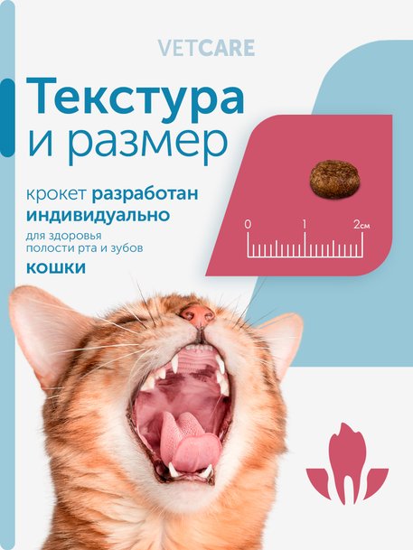 Сухой корм для кошек Formula Natural VET CARE RENAL, диетический, при хроническом заболевании почек, 80 гр