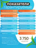 Сухой корм Formula Natural Fresh Meat (для стерилизованных кошек) с лососем, тыквой и куркумой, 80 г