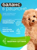 Сухой корм Formula Natural Fresh Meat (для взрослых собак мини пород) с курицей, маниокой и розмарином, 80 г