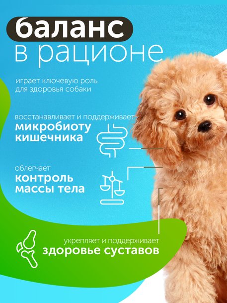 Сухой корм Formula Natural Fresh Meat (для взрослых собак мини пород) с курицей, маниокой и розмарином, 80 г
