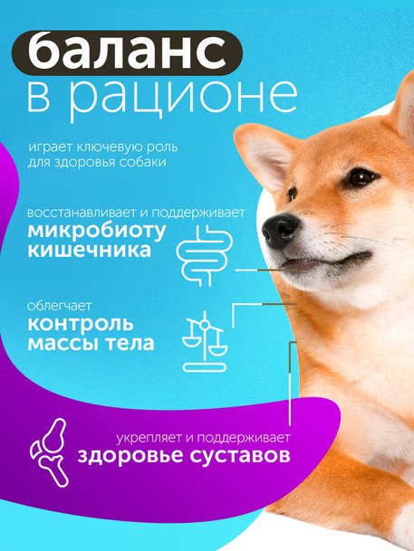 Сухой корм Formula Natural Fresh Meat (для взрослых собак средних пород) с курицей, маниокой и розмарином, 80 г