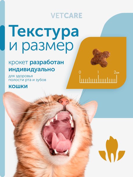 Сухой корм Formula Natural Vet Care Urinary (для кошек при мочекаменной болезни), 80 г