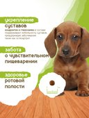 Сухой корм Formula Natural Life (для щенков мини пород), 80 г