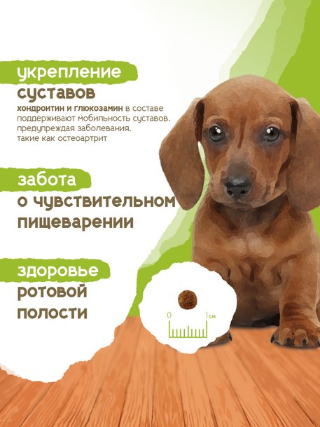 Сухой корм Formula Natural Life (для щенков мини пород), 80 г
