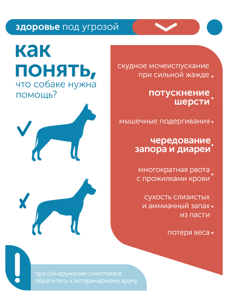 Сухой корм Formula Natural Vet Care Renal (для собак с хроническими заболеваниями почек), 80 г
