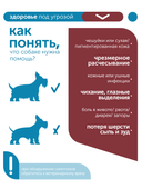 Сухой корм Formula Natural Vet Care Hypoallergenic (для собак мини и мелких пород), 80 г
