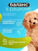 Сухой корм Formula Natural Fresh Meat Weight Control (для взрослых собак мини пород) с курицей, тыквой и куркумой, 80 г
