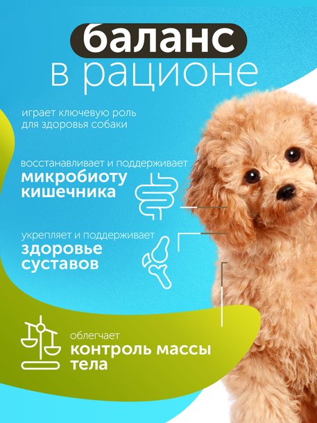 Сухой корм Formula Natural Fresh Meat Weight Control (для взрослых собак мини пород) с курицей, тыквой и куркумой, 80 г