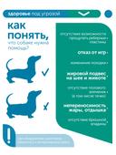 Сухой корм Formula Natural Vet Care Obesity (для собак мини и мелких пород), 80 г