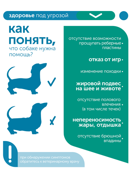 Сухой корм Formula Natural Vet Care Obesity (для собак мини и мелких пород), 80 г