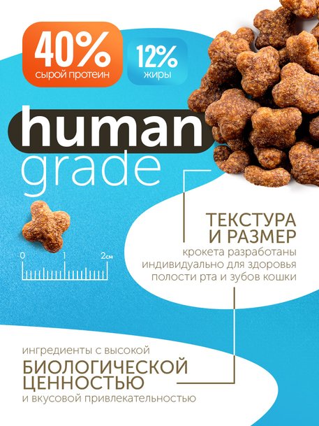 Сухой корм Formula Natural Fresh Meat (для стерилизованных кошек) с лососем, тыквой и куркумой, 80 г