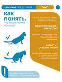 Сухой корм Formula Natural Vet Care Urinary (для кошек при мочекаменной болезни), 80 г