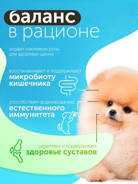 Сухой корм Formula Natural Fresh Meat (для щенков мини пород) с курицей, маниокой и куркумой, 80 г