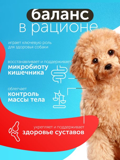 Сухой корм Formula Natural Fresh Meat Sensitive lamb (для взрослых собак мини пород) с ягненком, маниоком, алоэ вера, 80 г