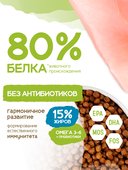 Сухой корм Formula Natural Life (для щенков мини пород), 80 г