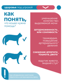Сухой корм для кошек Formula Natural VET CARE RENAL, диетический, при хроническом заболевании почек, 80 гр