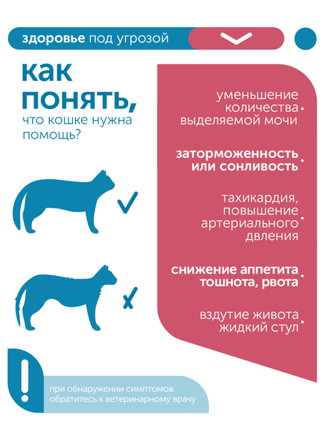Сухой корм для кошек Formula Natural VET CARE RENAL, диетический, при хроническом заболевании почек, 80 гр