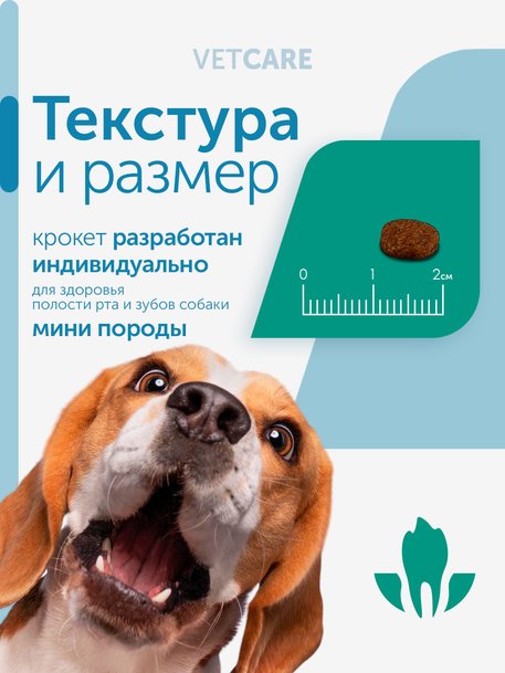 Сухой корм Formula Natural Vet Care Obesity (для собак мини и мелких пород), 80 г