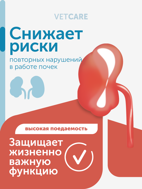 Сухой корм Formula Natural Vet Care Renal (для собак с хроническими заболеваниями почек), 80 г