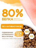 Сухой корм Formula Natural Life с Курицей для стерилизованных кошек, 80 г