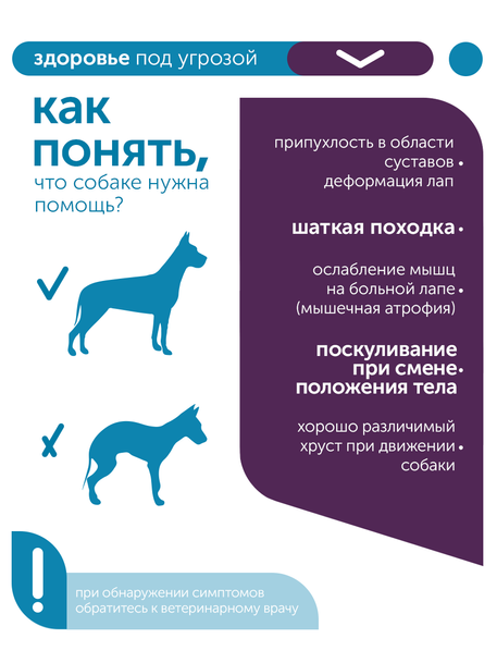 Сухой корм Formula Natural Vet Care Osteoarthritis (для собак при остеоартрите), 80 г