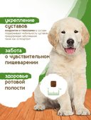 Сухой корм Formula Natural Life (для щенков средних и больших пород), 80 г