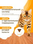 Сухой корм Formula Natural Life с Курицей для стерилизованных кошек, 80 г