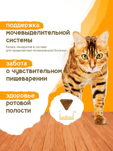 Сухой корм Formula Natural Life с Курицей для стерилизованных кошек, 80 г