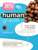 Сухой корм Formula Natural Fresh Meat (для котят) с курицей, яблоком и куркумой, 80 г