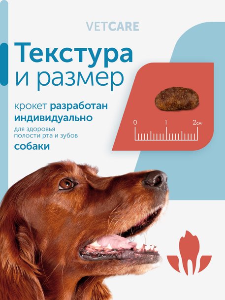 Сухой корм Formula Natural Vet Care Renal (для собак с хроническими заболеваниями почек), 80 г